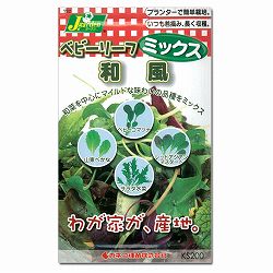 ベビーリーフの種ミックス：和風 2袋セット[マイルドな味わいの和菜ミックス 周年まき可能 タネ]