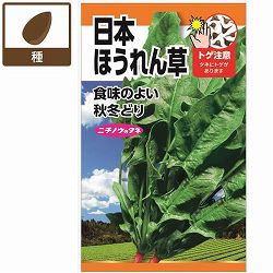ホウレンソウ種：日本ほうれん草 2袋セット[野菜タネ　秋冬まき]