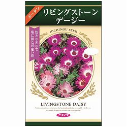 リビングストーンデージー 2袋セット[菊に似た可愛らしい花　花タネ]