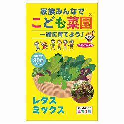 レタス：こども菜園(R)（レタスミックス） 2袋セット[野菜のタネ　通年まき]