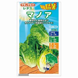 レタス：マノア 2袋セット[タキイ 野菜タネ　春・夏まき]