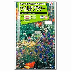ワイルドフラワー ハイドロカラーミックスの種 3袋セット[タキイ 花タネ]