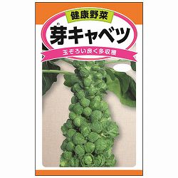 芽キャベツ（子持甘藍） 2袋セット[小さくても栄養たっぷり たくさん採れるメキャベツ　野菜タネ]