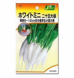二十日大根ホワイトミニ  2袋セット[野菜タネ][ハツカダイコンのタネ]