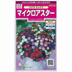 アスター：マイクロアスター　ステラミックス 2袋セット[花タネ]
