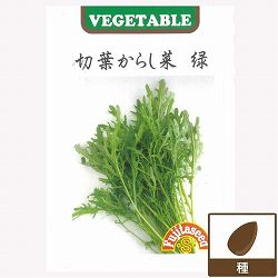 カラシナ：切葉からし菜（緑） 2袋セット[ほぼ周年まき　野菜のタネ]
