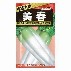 ダイコン種：美春 青首大根[野菜タネ]* 2袋セット