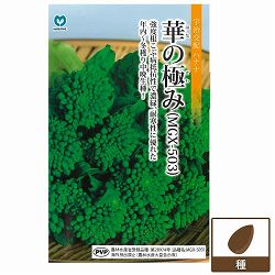 ハナナ（菜の花）：華の極み 2袋セット