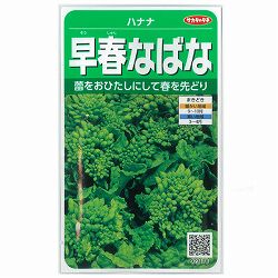 ハナナ：早春なばな 2袋セット[サカタ　野菜タネ]