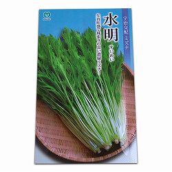 ミズナ（水菜）種：水明（すいめい）* 2袋セット