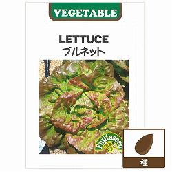 レタス：ブルネット 2袋セット[野菜タネ]