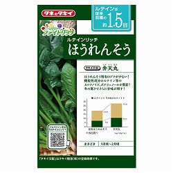 ホウレンソウ種：ルテインリッチほうれんそう　弁天丸  2袋セット[ほうれん草　野菜タネ]