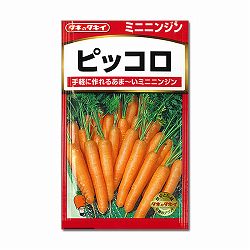 ニンジン種： ミニニンジン　ピッコロ[タキイ 野菜タネ]* 2袋セット