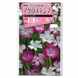 アグロステンマ：ラブリーミックスの種 2袋セット[タキイ 花タネ]