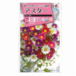 アスター：ネネ混合 2袋セット[タキイ 花タネ]