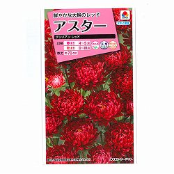 アスター：ブリリアン レッドの種 2袋セット[タキイ 花タネ]