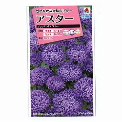 アスター：ブリリアンＥＸ ブルーの種 2袋セット[タキイ 花タネ]