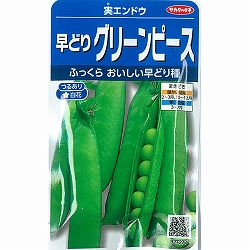 エンドウ：グリーンピース（極早生　実豌豆）* 2袋セット[サカタ　野菜タネ]
