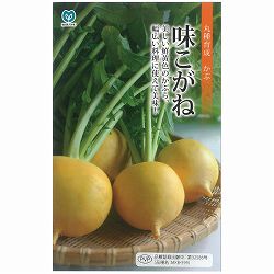 カブ種：味こがね 2袋セット