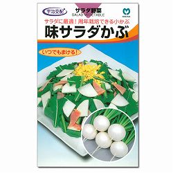 カブ種：味サラダかぶ 2袋セット
