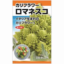 カリフラワー：ロマネスコの種 2袋セット[野菜タネ]
