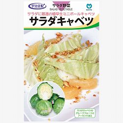 キャベツ：サラダキャベツ（ミニックス40） 2袋セット