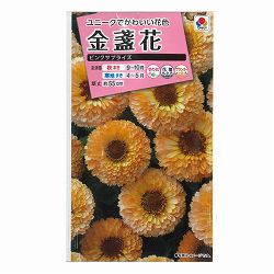 キンセンカ（金盞花）：ピンクサプライズ 2袋セット[タキイ 花タネ]