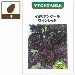 ケール種：イタリアンケール ワインレッド 2袋セット[野菜タネ]