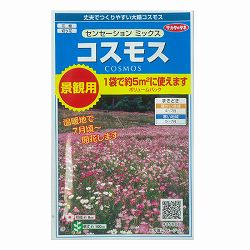 コスモス：センセーション　ミックス　景観用ボリュームパック 2袋セット[春まき　花タネ]