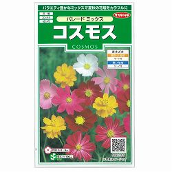 コスモス：パレードミックス 2袋セット[花タネ]