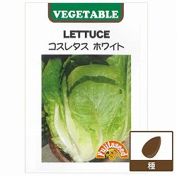 コスレタス：ホワイト 2袋セット[野菜タネ]