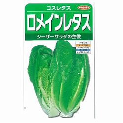 コスレタス：ロメインレタス* 2袋セット[サカタ　野菜タネ]