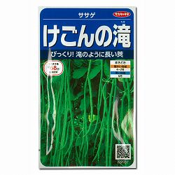 ササゲ：けごんの滝 2袋セット[サカタ　野菜タネ]