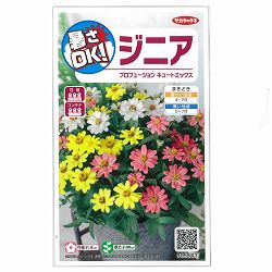 ジニア：プロフュージョンキュートミックス 2袋セット[花タネ]