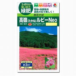 ソバ（蕎麦）：赤花そば　高嶺（たかね）ルビーNeoの種 2袋セット[7～10月まき 緑肥用のタネ]
