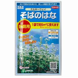 ソバ：（緑化用）ミルキーウエイ　景観用ボリュームパック 2袋セット[春・秋まき　花タネ]