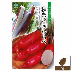 ダイコン（ミディ大根）：秋まき茜わらべ 2袋セット