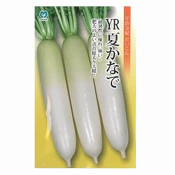 ダイコン（大根）：YR夏かなで 2袋セット[野菜タネ]