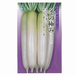 ダイコン（大根）：冬の極み 2袋セット