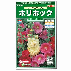 タチアオイ（ホリホック）：サマーカーニバルの種 2袋セット[豪華な八重咲大輪種 春、秋まき　花タネ]