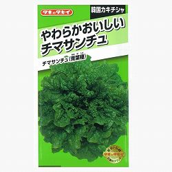 チマサンチュ（韓国カキチシャ）：青葉種[タキイ 野菜タネ]* 2袋セット