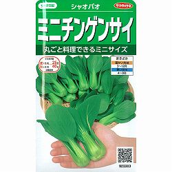 チンゲンサイ種：（ミニ）シャオパオ * 2袋セット[野菜タネ]