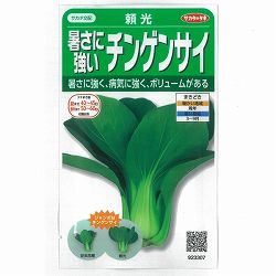 チンゲンサイ種：暑さに強い青梗菜 頼光（らいこう）* 2袋セット[野菜タネ]