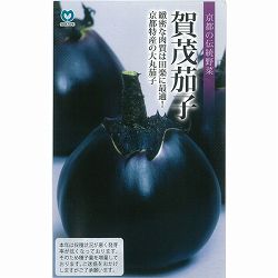 ナス：賀茂茄子（大丸茄子）* 2袋セット[野菜タネ]