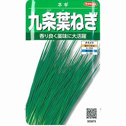 ネギ：九条葉ネギ 2袋セット[香り良く薬味に大活躍！　サカタ　野菜タネ]
