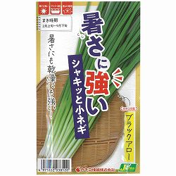 ネギ：暑さに強い シャキッと小ネギ ブラックアロー [春-秋まき 野菜タネ]* 2袋セット
