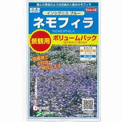 ネモフィラ：インシグニスブルー　景観用ボリュームパック約3平米分 2袋セット[秋まき・春まき　寒地3～4月、暖地9～10月まき　花タネ]