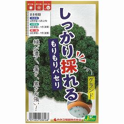 パセリ：しっかり採れる もりもりパセリ グランド [春・秋まき 野菜タネ]* 2袋セット