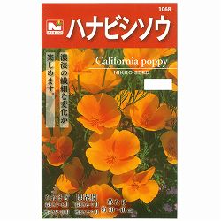 ハナビシソウの種 2袋セット[花タネ]