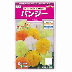 パンジー：パシオ　シトラスカラーミックスの種 2袋セット[サカタ　花タネ]